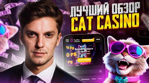 Казино cat бонус